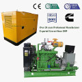 100kw Silent Genset or Electric Power Plant for Biogas Generator of Methane